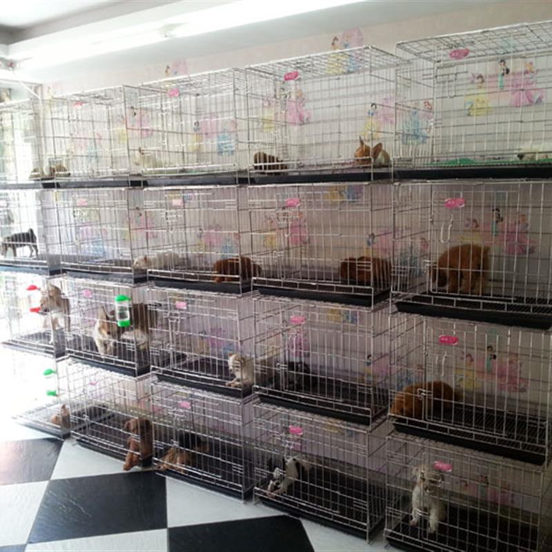 嘉盈不锈钢狗笼子猫笼折叠宠物笼中小型犬白钢笼兔鸡笼配托盘加粗