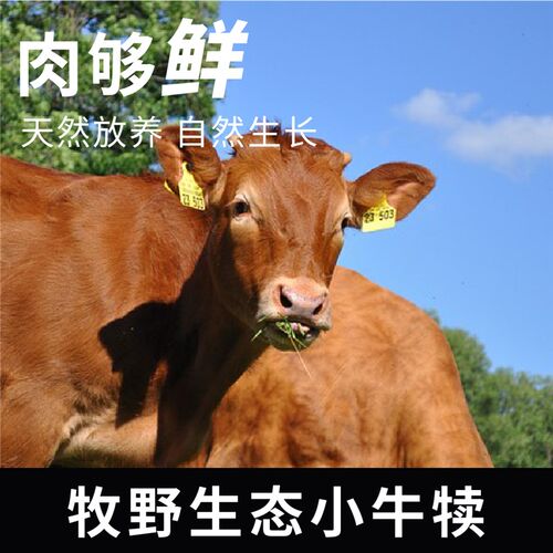 BOKAN博刻 鸡鸭会喉 宠物风干零食鸡鸭肉缠牛喉管狗狗磨牙棒咬胶