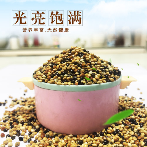 鹦鹉饲料鸟粮混合鸟粮食玄凤虎皮牡丹中小型鹦鹉文鸟鸟食五色黍子
