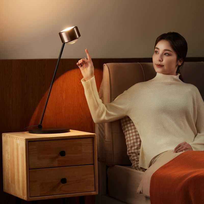 意大利唯亚司台灯护眼学习专用卧室轻奢高级感书桌工作2024年新款