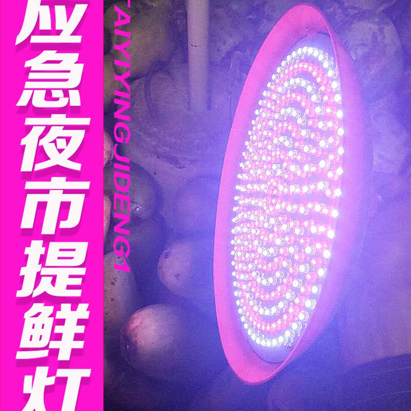 停电神器应急生鲜灯led可充电灯泡 水果照鲜猪肉灯夜市摆摊红光,家装灯饰光源,应急灯,淘宝优惠券,粉丝福利购,淘宝优惠卷