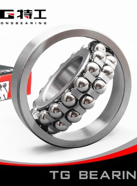 1317 K 111317双列调心球轴承内径85mm外径180厚41中大型 特工TG