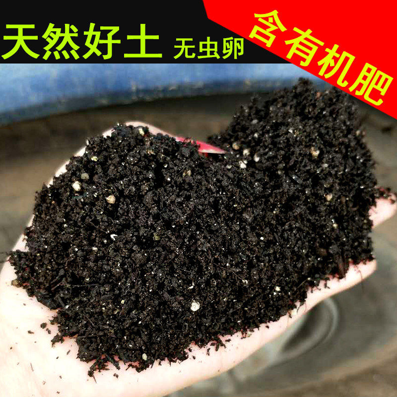 营养土阳台种菜土通用型土壤养花泥土家庭种植土有机肥蔬菜营养土,鲜花速递/花卉仿真/绿植园艺,介质/营养土,淘宝优惠券,粉丝福利购,淘宝优惠卷