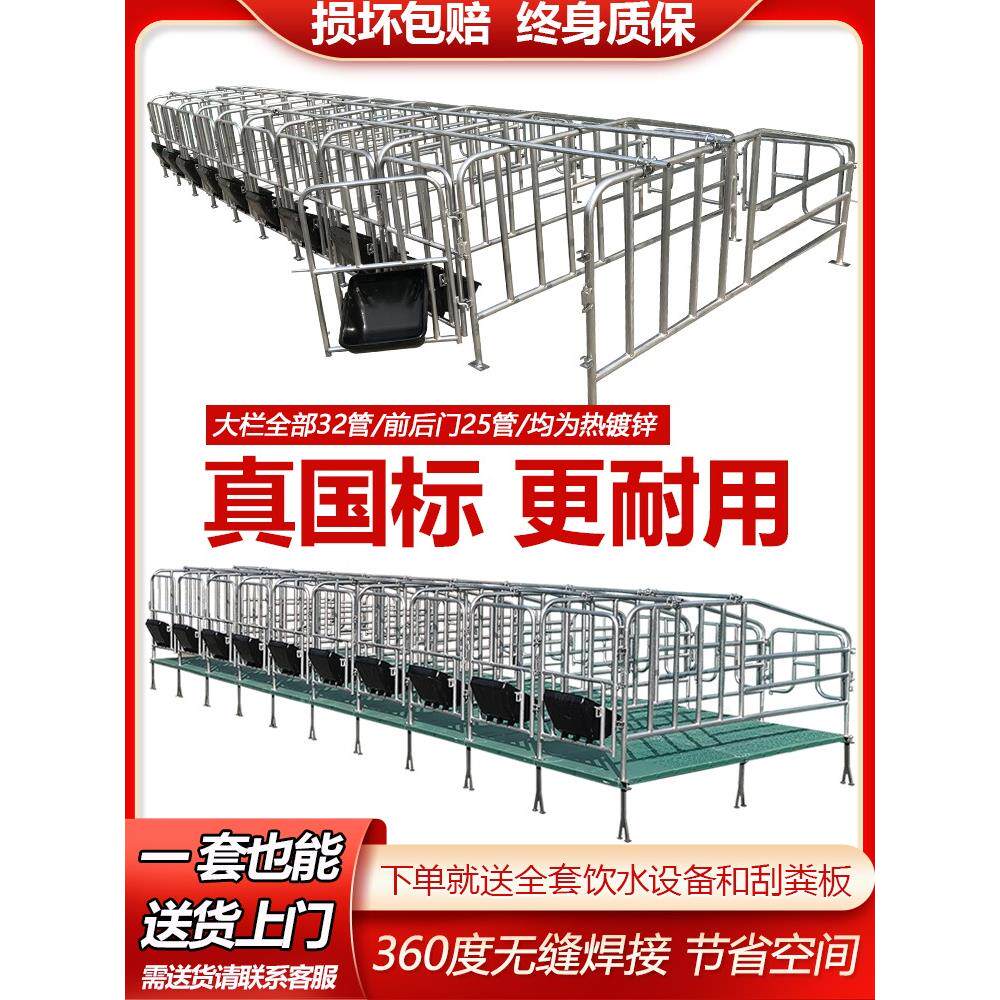 母猪定位栏带漏粪板热镀锌管落地限位单体栏产床猪圈围栏养殖设备