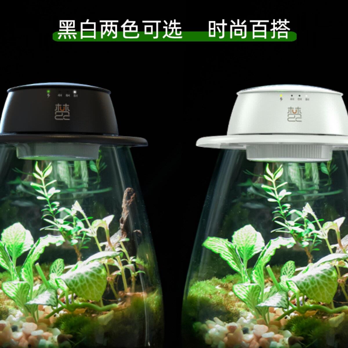 无线充电式植物灯生态瓶微景观苔藓植物生长灯全光谱仿太阳光照