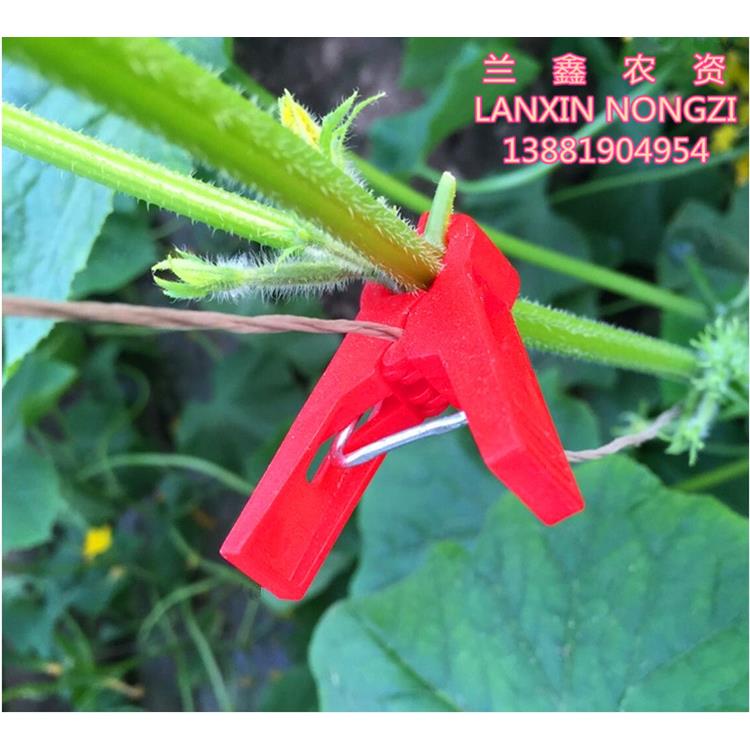 大棚蔬菜黄瓜番茄番茄吊秧夹子绑蔓夹落秧夹扶蔓夹吊蔓夹鸭嘴