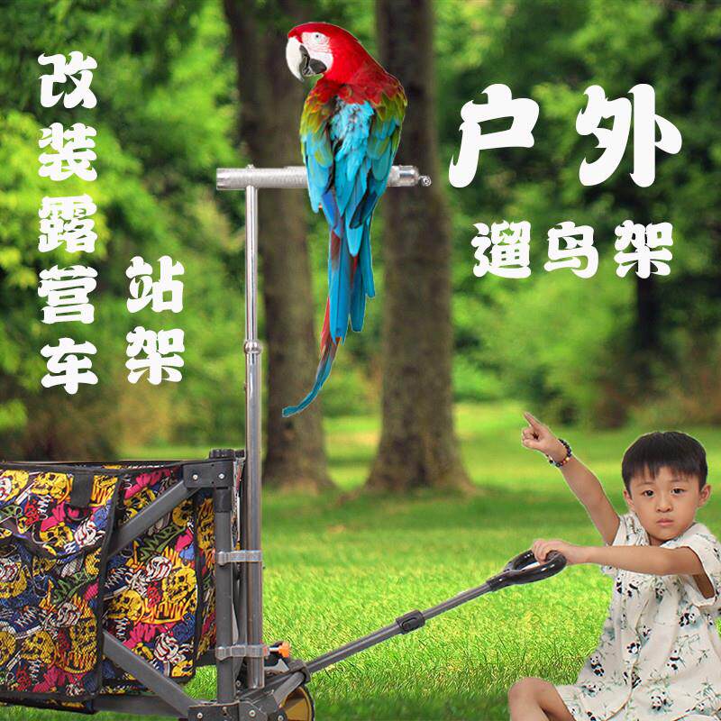鹦鹉外出架户外推车架中大型鹦鹉遛鸟专用不锈钢栖息棍改装站架