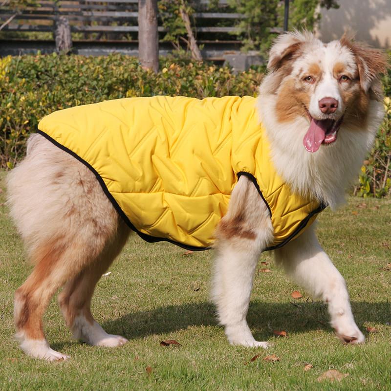 宠物服装中大型犬金毛边牧澳牧拉布拉多阿拉斯加萨摩秋冬加厚棉衣