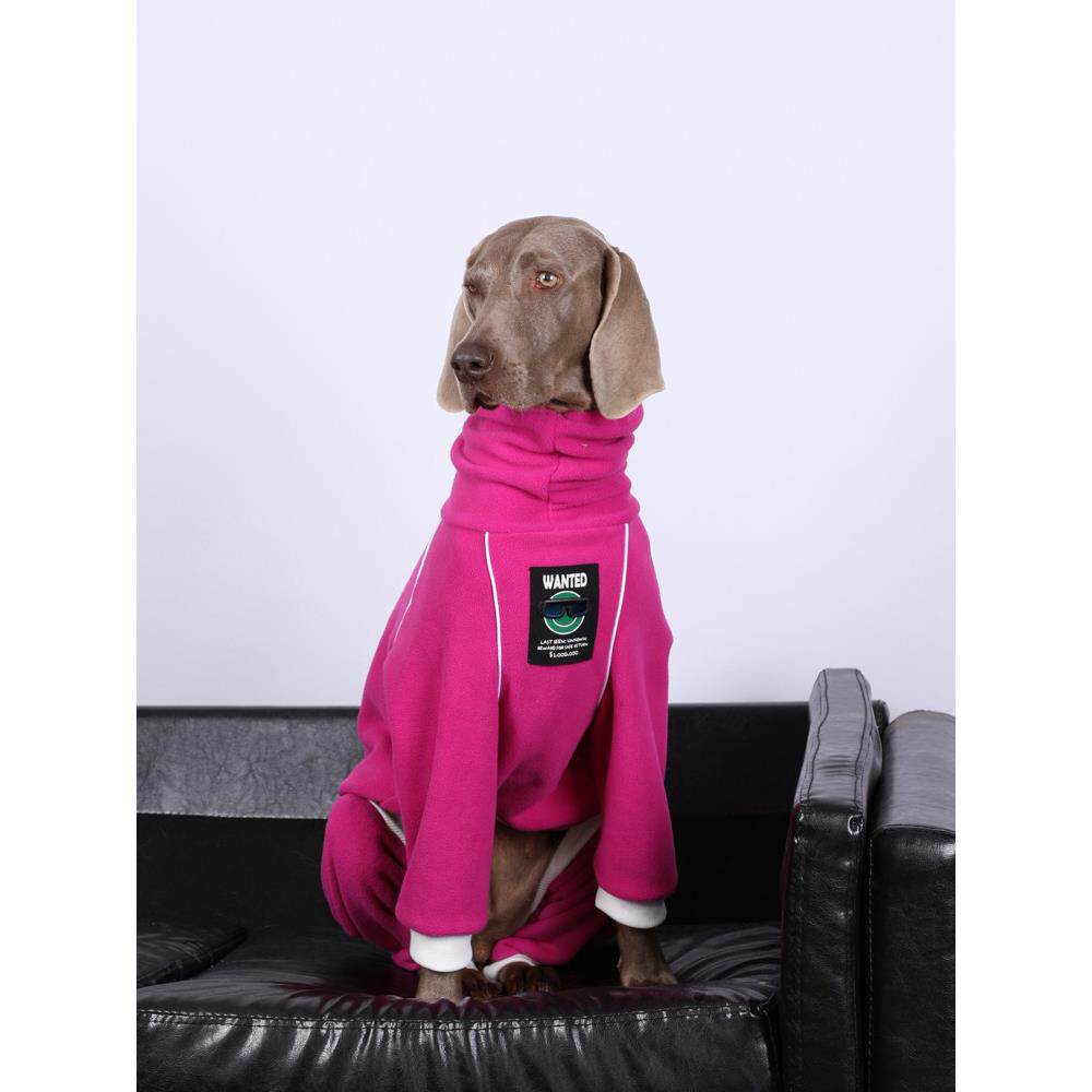 大型犬拉布拉多金毛杜宾冬装宠物保暖加厚加绒衣服中小型犬四脚衣