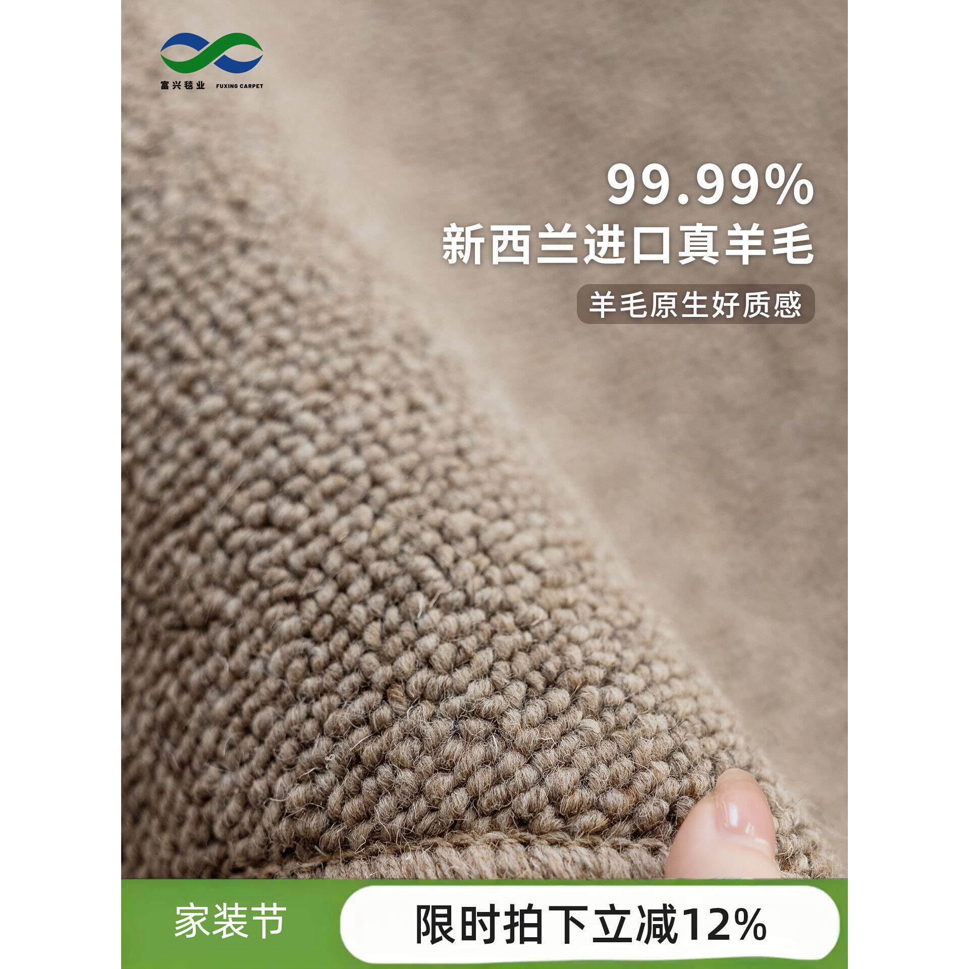 进口纯羊毛地毯轻奢圈绒地垫纯色棕色定制满铺大客厅沙发卧室富兴