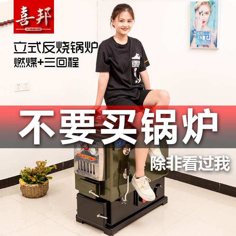 新型节能环保锅炉家用采暖炉地暖反烧小型燃煤水暖烧煤热水暖气小