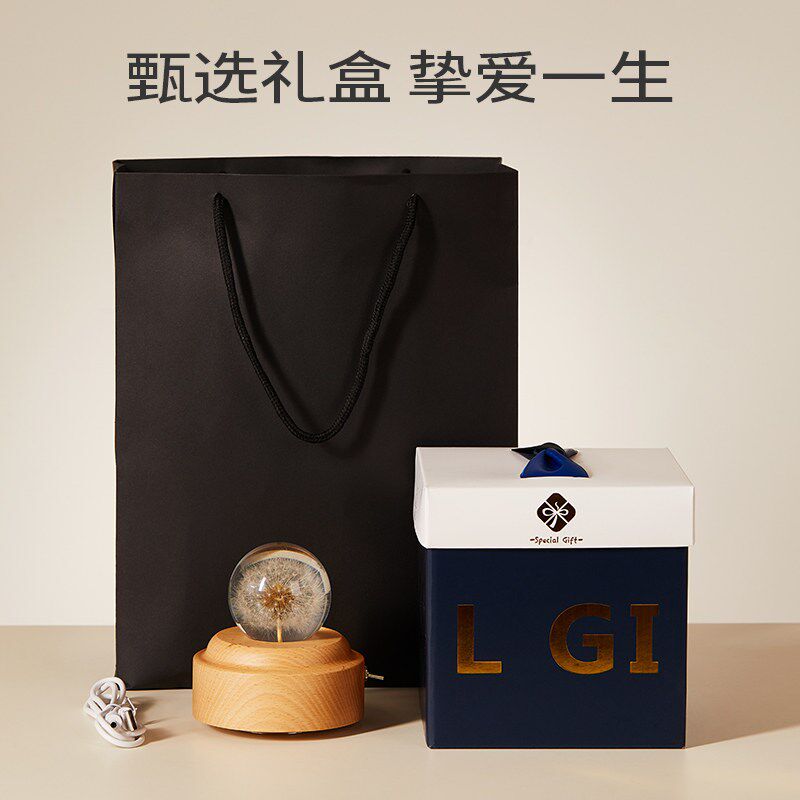 蒲公英水晶球音乐盒八音盒天空之城儿童小女童女孩子生日礼物女生