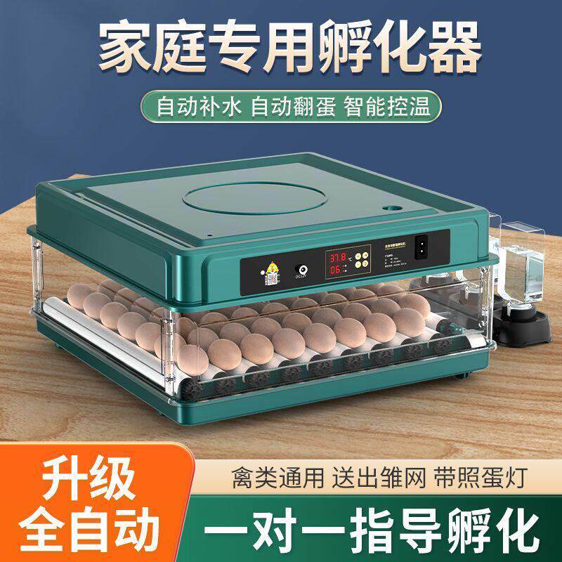 【新款上市】全自动孵化器小型家用孵化机小鸡孵蛋器芦丁鸡孵化箱