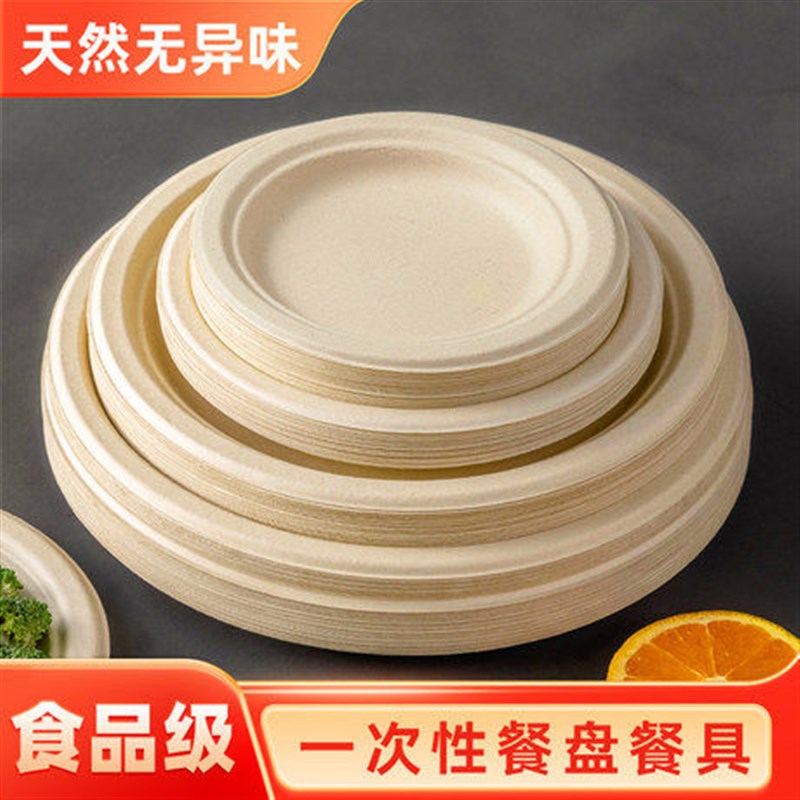 一次性餐盘餐具食品级盘子碗筷碟子加厚纸盘可降解画画烧烤家用