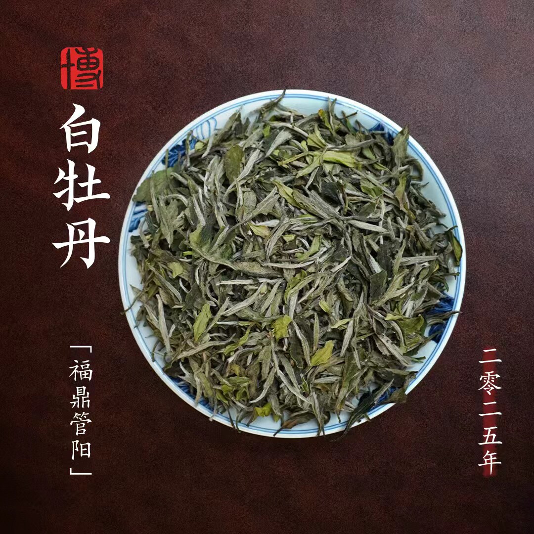小博找茶｜鼎珍-白牡丹 500g/盒 2025一级牡丹 福鼎白茶 管阳产区