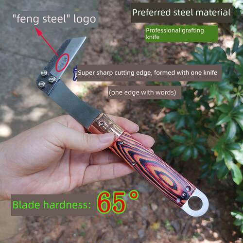 优质尖钢接枝小镰刀接枝钩切刀马蹄修剪刀农业果树接枝专用刀接芽
