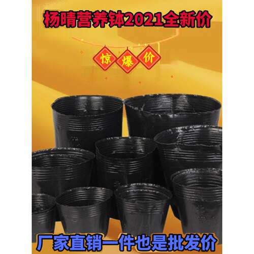 营养碗营养杯黑色抗老化塑料苗杯一次性苗锅苗袋厂家直销