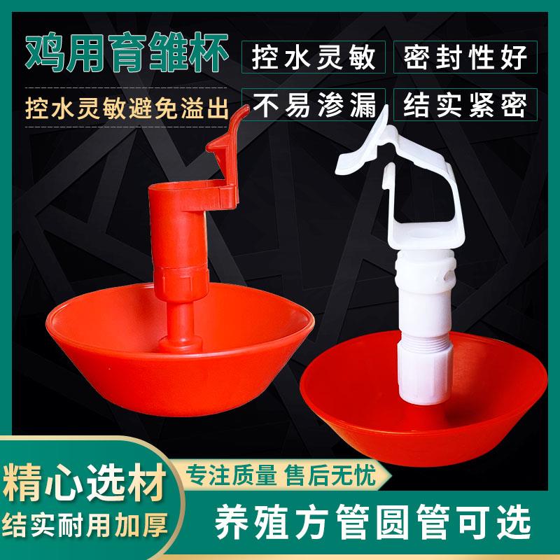 雏鸡水碗鸽子自动饮水器鸡用吊杯饮水器乳头小鸡饮水碗鸡用育雏杯