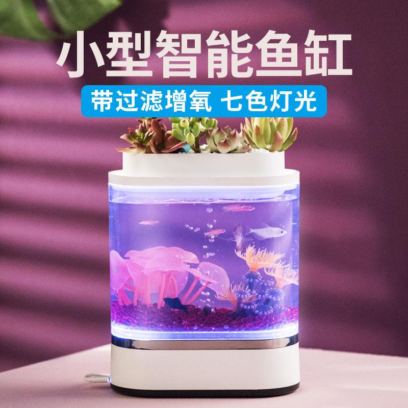 画法几何迷你两栖生态鱼缸客厅小型家用桌面创意亚克力造景金鱼缸图片