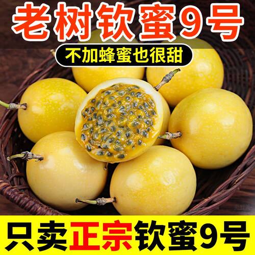 正宗广西黄金百香果钦蜜9号新鲜水果孕妇当季整箱百香果原果浆甜
