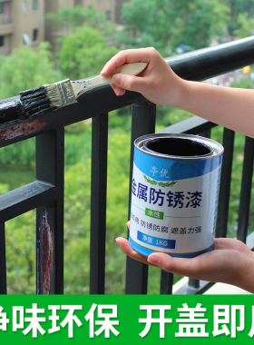 水性油漆金属防锈漆防腐防水铁门窗栏杆免除锈黑色白色暖气片翻新
