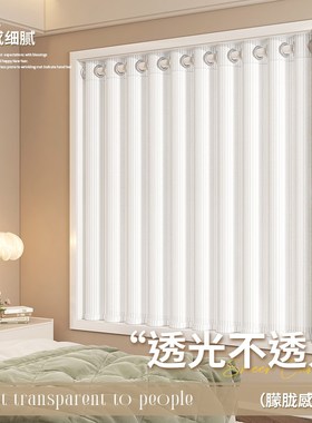 法式窗纱白色透光不透人卧室梦幻窗帘飘窗阳台免打孔纱帘2025新款
