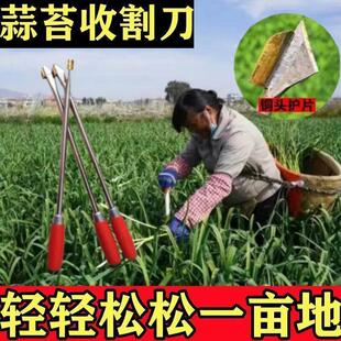 2024新款蒜苔打蒜台神器收割器提拔剔蒜苔提摘工具快速抽拔全自动