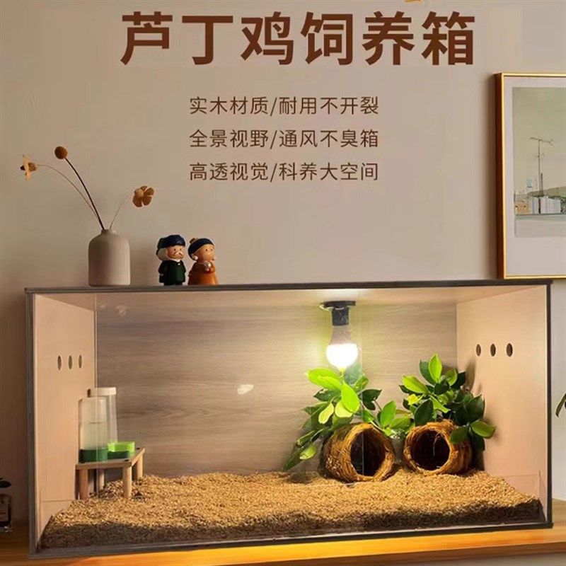 芦丁鸡饲养箱育雏养殖专用宠物窝大房屋卢丁恒温造景仓鼠笼子,宠物/宠物食品及用品,宠物鸡/鸭/鸽笼,淘宝优惠券,粉丝福利购,淘宝优惠卷