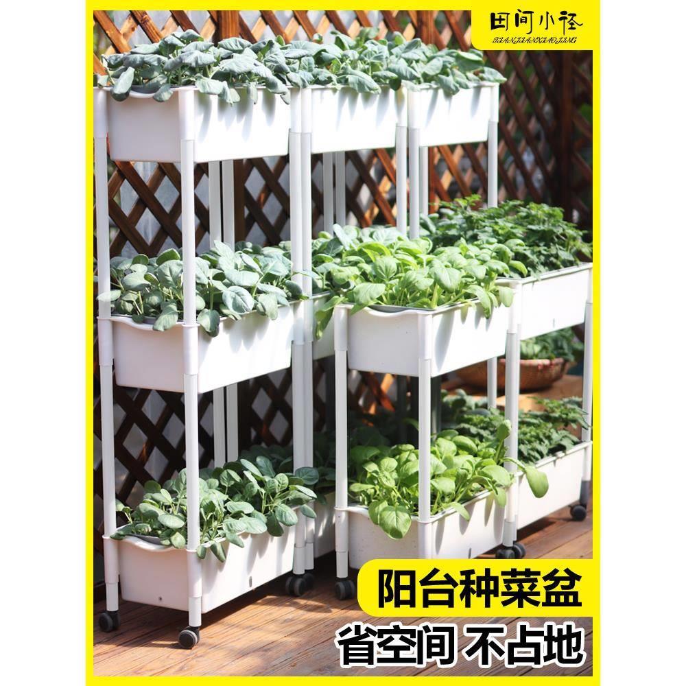 种菜盆阳台专用多层蔬菜种植箱长方形塑料自吸水懒人花盆顶楼菜盆