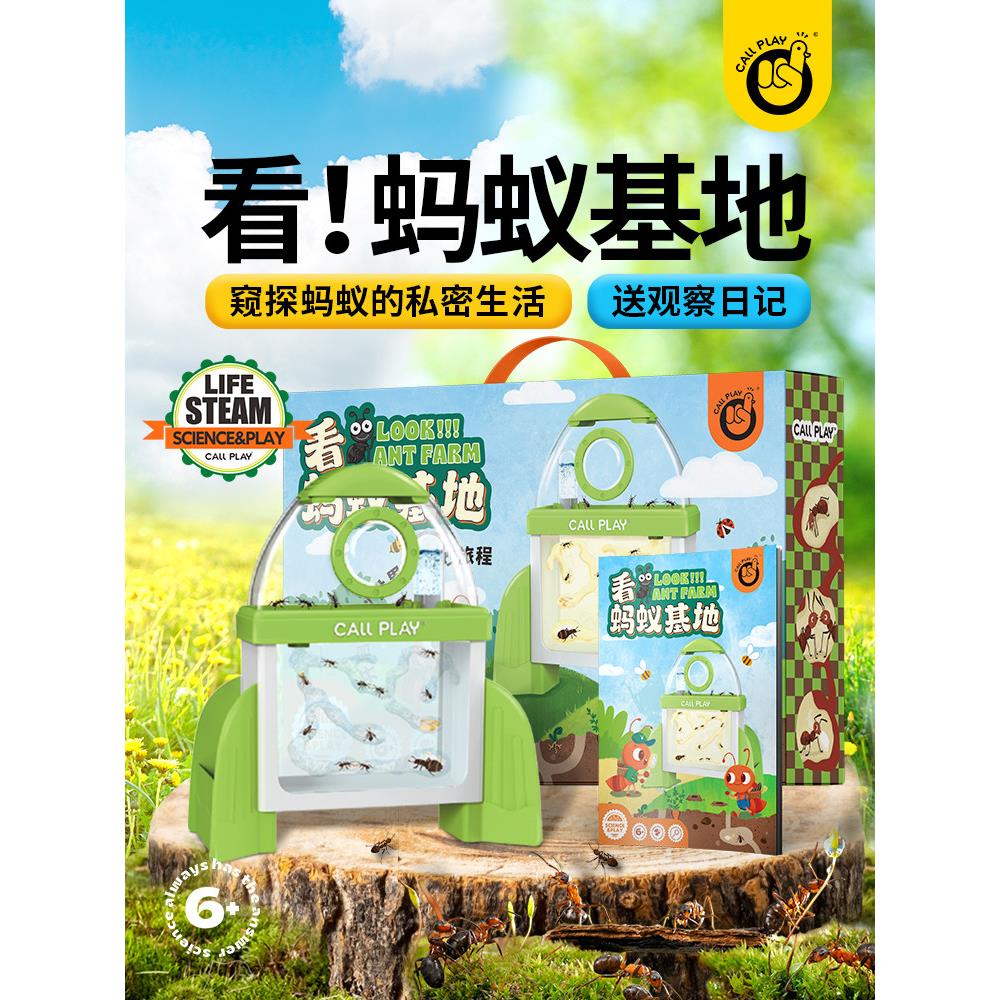 蚂蚁城堡工坊别墅家园蚂蚁生态箱宠物蚁巢蚂蚁活体弓背蚂蚁后基地