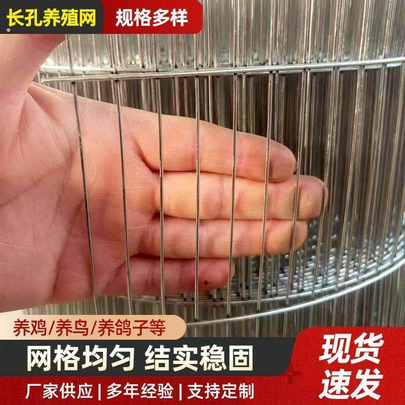 长孔镀锌铁丝网笼网养殖网养鸡电焊网鸟笼网兔鹌鹑鸽笼鹦鹉围栏