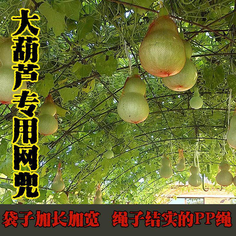 葫芦防坠网兜大葫芦专用编织兜红薯板栗分装袋绳红黄色纱网袋