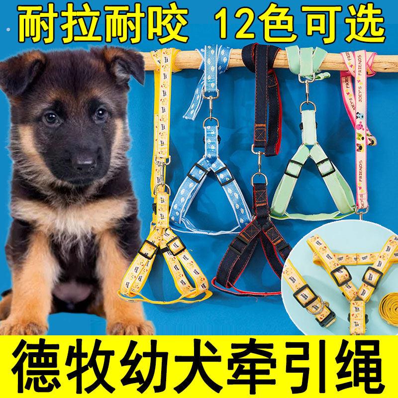 德国牧羊犬德牧黑背幼犬专用牵引绳狗绳子项圈背心式小狗狗用品