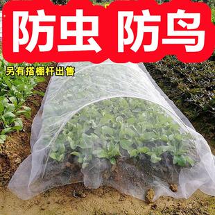 防虫网种菜专用80目加密厚支架防乌防鸟防麻雀 菜园子网 盖菜地网