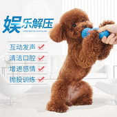 狗狗玩具发声球小狗泰迪大型犬金毛拉布拉多幼犬磨牙耐咬宠物用品