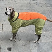 宠物大狗狗衣服大中型犬萨摩金毛棉衣三层加厚加绒防风保暖四脚服