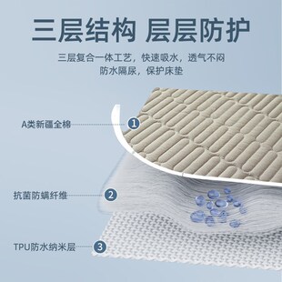 2024新款学生宿舍床笠a类母婴级防水隔尿透气床罩纯棉床垫可机洗