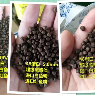 锦鲤兰寿泰狮高蛋白观赏金鱼慈鲷孔雀鱼粮青岛劲鳞马团长鱼粮七好