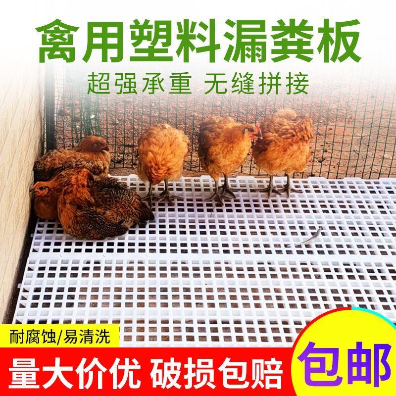 加厚鸡用漏粪板鸡舍塑料漏粪板养鸡鸭鹅鸽子用网格漏屎板地板脚垫