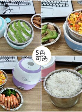 爱淘米熊电热饭盒双层可插电加热保温桶蒸煮神器便携式上班族 1人