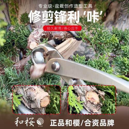 修枝剪球节剪盆景工具斜口剪叉枝剪树瘤树节球形钳盆景造型工具剪