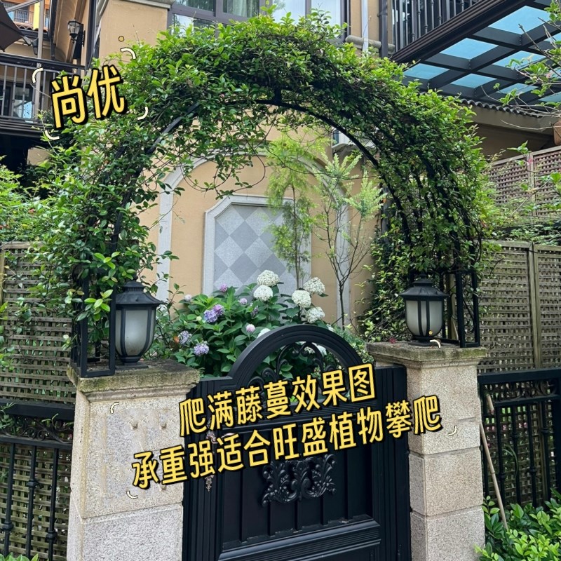 欧式铁艺拱形花架户外庭院别墅花园门柱攀爬架门头装饰铁艺花架