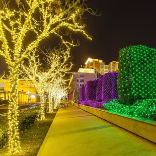 网红树灯挂树上的彩灯树枝树干装饰灯满天星led灯带户外缠树灯串