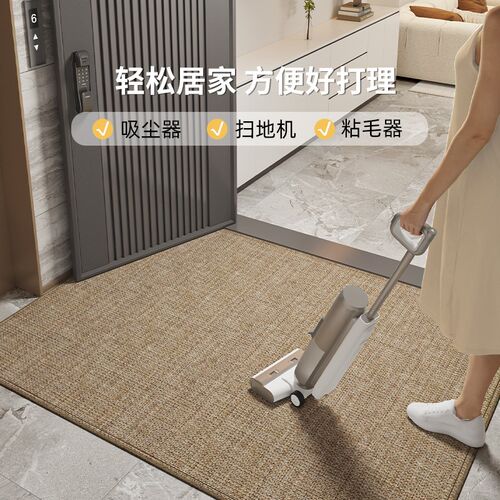 新款2024轻奢高级入户进门地毯家用门垫防滑防水玄关脚垫可擦裁剪