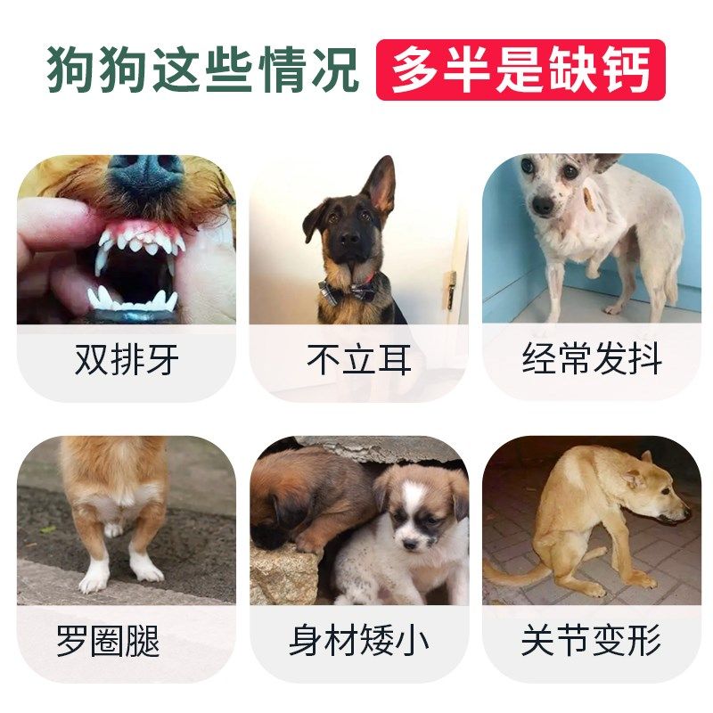 狗钙片哈士奇阿拉斯加用立耳健骨关节幼成犬老年犬微量元素狗补钙,宠物/宠物食品及用品,狗特色保健品,淘宝优惠券,粉丝福利购,淘宝优惠卷