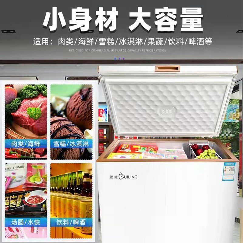 穗凌冰柜家用小型100/200/300升卧式冰箱节能保鲜冷冻柜冷藏雪柜
