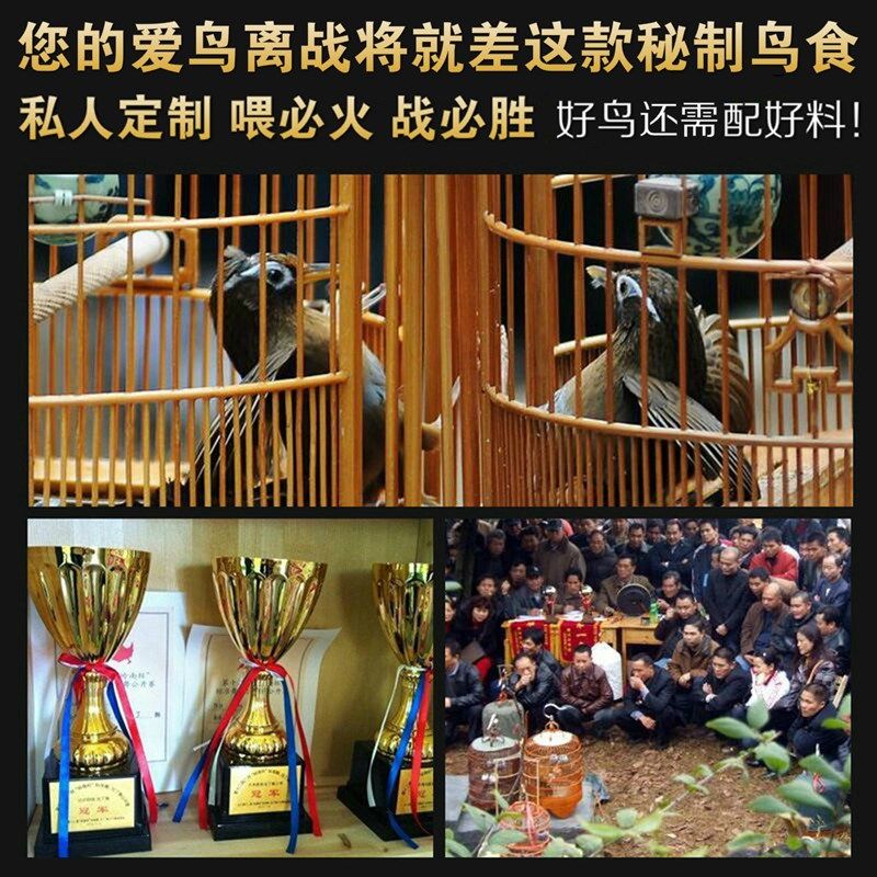白子画AA手工画眉斗鸟食雀王比赛打大彩饲料提性壮膘收身上力专用