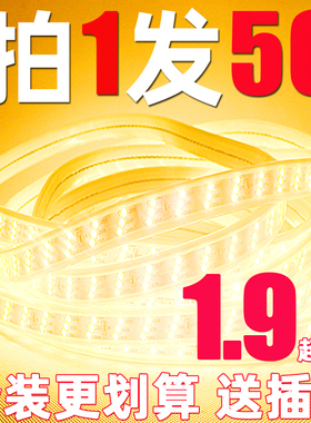 50米装LED灯带长条客厅吊顶创意浪漫七彩变色霓虹线灯贴片220v