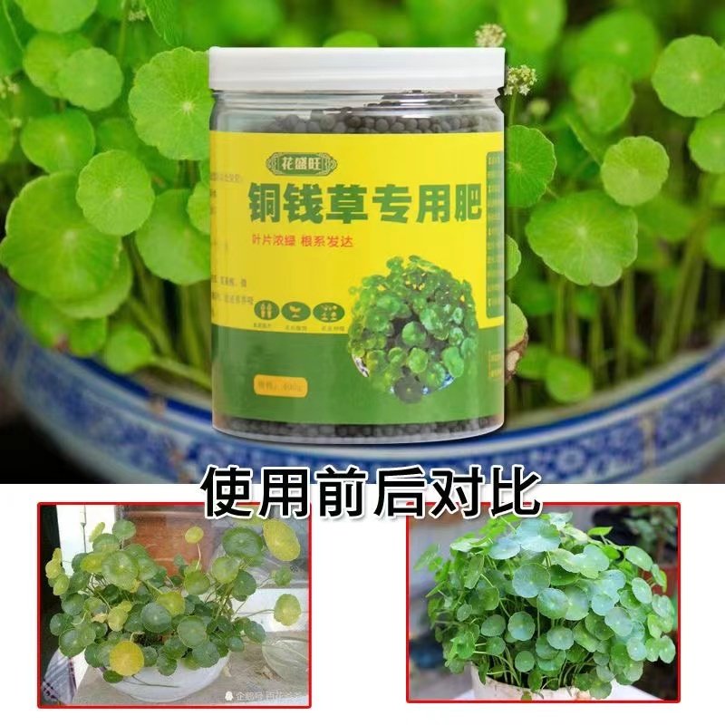 铜钱草专用肥铜钱草肥料水培营养液通用型绿植盆栽颗粒缓释复合肥,鲜花速递/花卉仿真/绿植园艺,家庭园艺肥料,淘宝优惠券,粉丝福利购,淘宝优惠卷