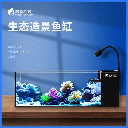 超白玻璃鱼缸养鱼日记客厅侧滤鱼缸桌面生态溪流缸自循环小水草缸